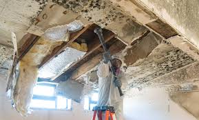 Best Real Estate Mold Inspection  in Runnemede, NJ